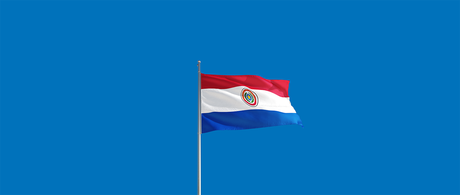 DIDWW adds Paraguay to its coverage (+595)